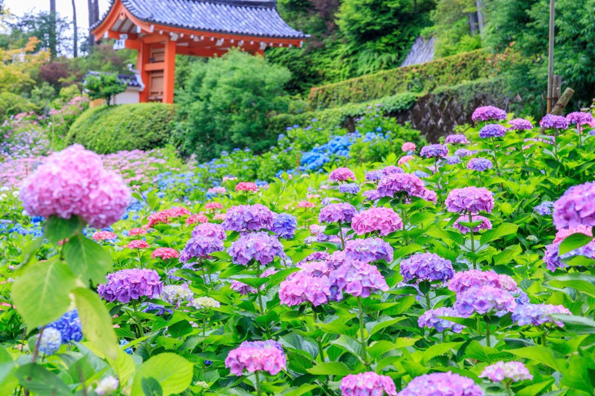 Mimaru Suites Kyoto Central Eksteriør bilde
